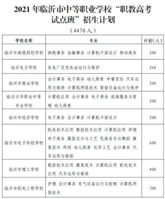 临沂公办专科学校有哪些？-新手技能训练师枚成才
