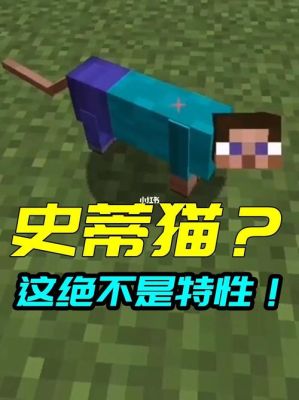 幼猫有蛋吗？-我的世界新手蛋蛋第十二集