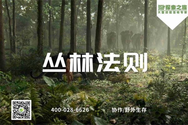 丛林十大生存法则？-丛林法则新手怎么玩