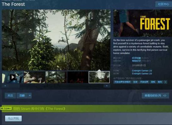 森林steam怎么输入指令？-森林steam新手入门