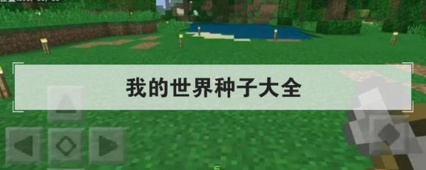 世界上最大的种子和最小的种子各是什么？-我的世界 新手种子