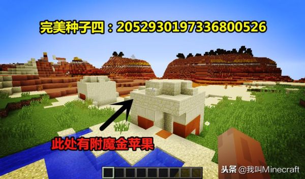 世界上最大的种子和最小的种子各是什么？-我的世界 新手种子