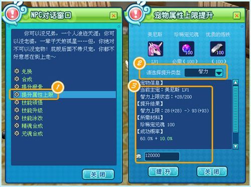 新飞飞MS怎么加点？宠物加什么？对于MS装备重要吗？-新飞飞官方新手礼包
