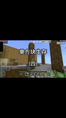 我的世界新手生存攻略？-我的世界解说新手生存