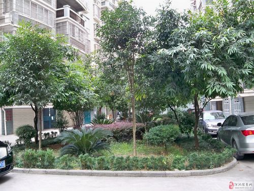 金城江翡翠花园产权是多少年？-翡翠花园新手