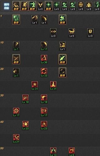 流浪武士110级技能加点？-dnf流浪武士加点