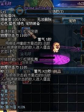 地下城与勇士宠物哪个好又实惠？-dnf金毛球