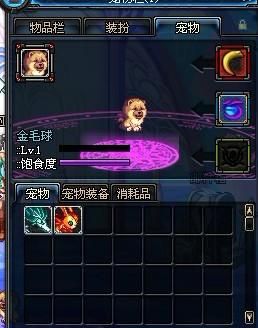 地下城与勇士宠物哪个好又实惠？-dnf金毛球