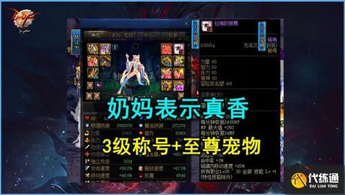 dnf奶妈带什么宠物好？-dnf宝宝