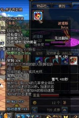 DNF宠物“波堤斯”？-dnf波提斯