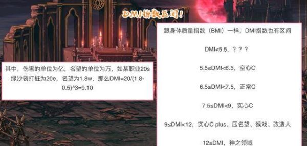 dnf c代表什么？-dnf c
