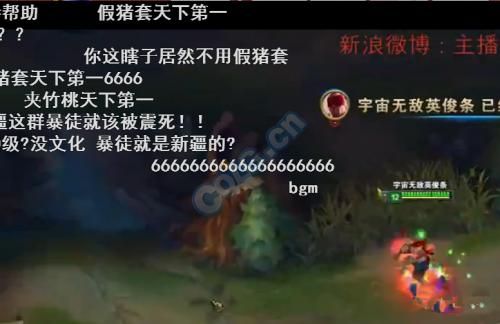 DNF猪左什么意思？-dnf猪