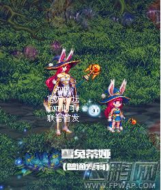 地下城白兔子宠物全名叫什么？-dnf兔子