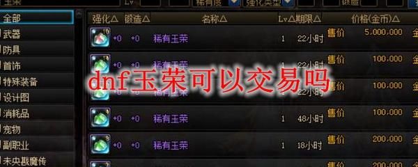 dnf玉容有什么值钱的？-dnf什么值钱