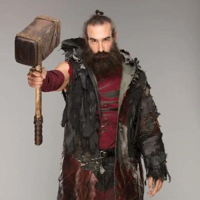 wwe卢克哈珀是戴什么面具？-dnf卢克小丑