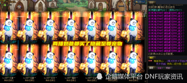 奶爸可以带宠物右槽么？-dnf奶爸宠物