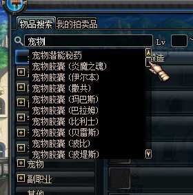 地下城宠物怎么买？-dnf宠物购买