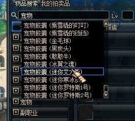 可以交易的宠物？-dnf可交易宠物