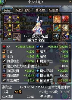 DNF女大枪的武器附魔属性攻击好还是力量好？-dnf女大枪附魔