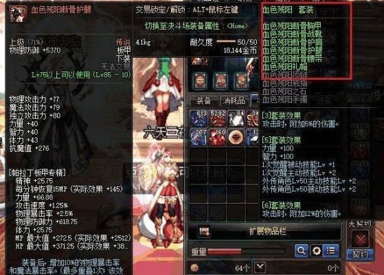 帕拉丁110搬砖装备搭配？-dnf帕拉丁搬砖装备