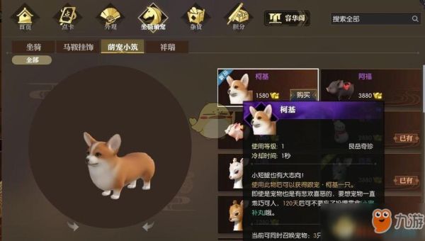 逆水寒宠物可以改名字吗？-dnf宠物改名