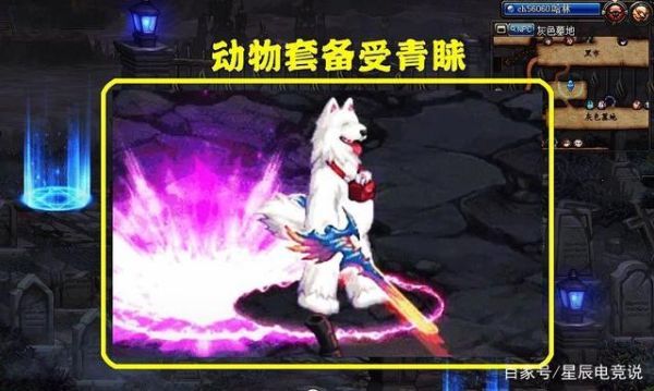 DNF我想取一个名字，像“黑兔子”类似有个黑字的？-dnf兔兔