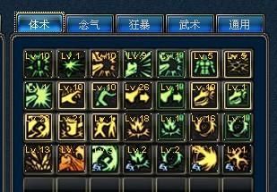 DNF所有职业的觉醒大招都叫什么？-dnf柔道觉醒