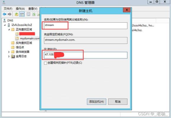 linux搭建dns详细步骤？-dnf单机架设