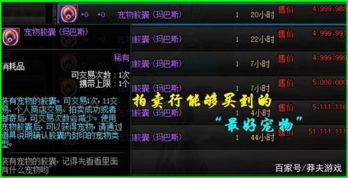 地下城与勇士高级宠物排行？-dnf加技能的宠物