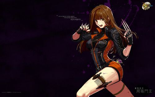地下城战士职业？-dnf女街