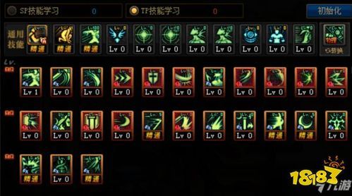 魔域口袋版驭剑士技能搭配？-dnf驭剑士技能