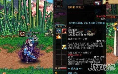 地下城狂战带什么宠物最合适？-dnf迷你鬼泣
