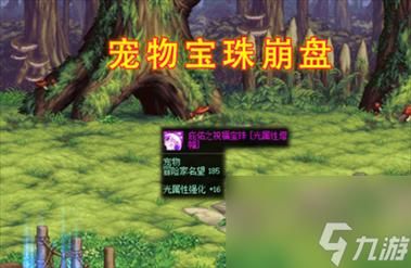 地下城与勇士如何在拍卖场购买宠物宝珠？-dnf拍卖行宠物宝珠