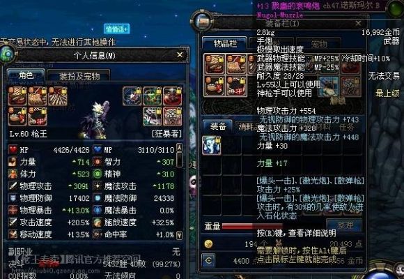 谁介绍一下山东一区（DNF）的枪王？-枪王dnf