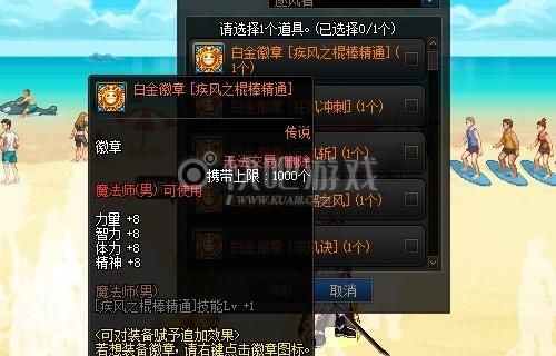 风法白金徽章选什么？-dnf风法换装