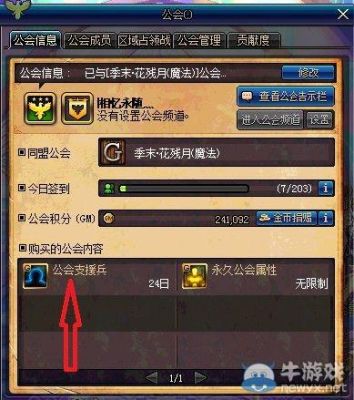 DNF公会优秀成员怎么申请邀请人的权限？-dnf权限服