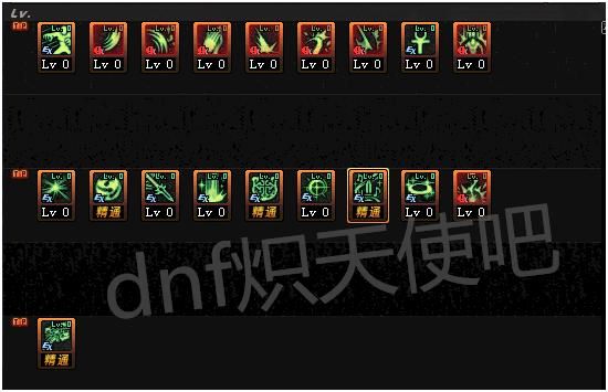 女圣骑士单刷加点？-dnf女圣骑加点