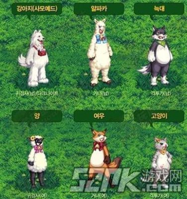 DNF里的人说的公鸡母鸡是什么？-dnf职业外号