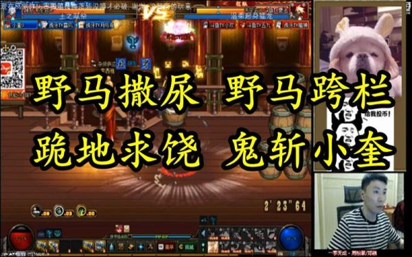 你们玩的最长时间的网游是什么，怎么样？-dnf野马