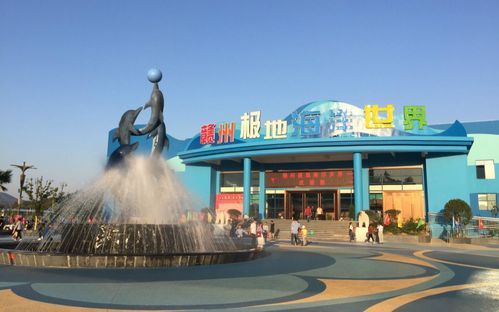极地海洋世界极地剧场最佳位置？-dnf童话王国