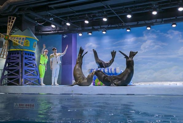极地海洋世界极地剧场最佳位置？-dnf童话王国
