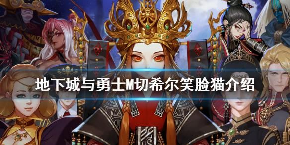 DNF除了切希尔的笑脸猫之外还有哪些装备可以增加召唤兽的召唤数上限？-dnf赫德尔