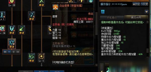 110级奶爸灿烂徽章怎么选？-dnf奶爸打团