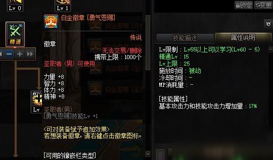 110级奶爸灿烂徽章怎么选？-dnf奶爸打团