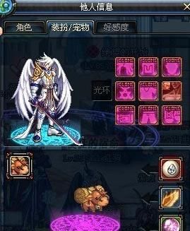 dnf黑暗武士有什么武器？-dnf迷你黑暗武士