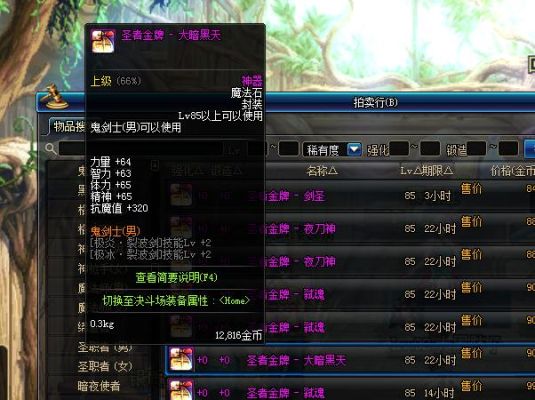 剑圣100级魔法石史诗哪个好？-dnf史诗魔法石