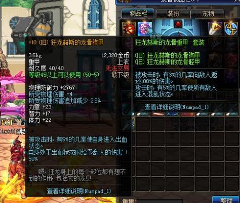 狂龙赫斯的龙骨胸甲适合红眼吗？-dnf赫斯
