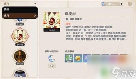 原神冰树火树抗性一样吗？-dnf火抗的