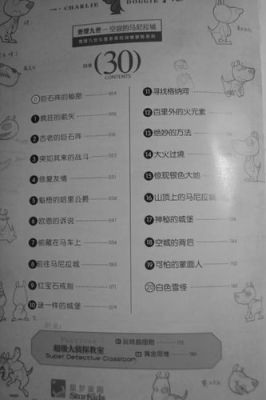 查理九世一共有多少季？-dnf恶灵的密语