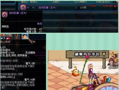 地下城与勇士现在怎么买宠物呀？-dnf拍卖行怎么买宠物
